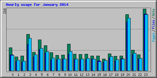 Hourly usage for January 2014