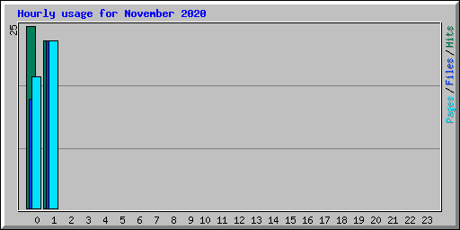 Hourly usage for November 2020
